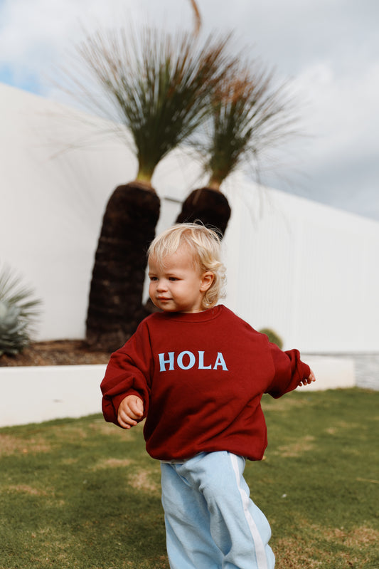 HOLA pullover forrest berry